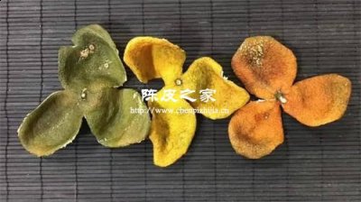 青皮与陈皮有什么样的联系