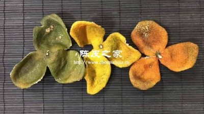 新会陈皮青皮和大红皮功效上有什么区别