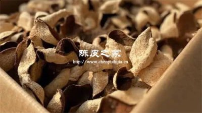 紫苏叶桔梗陈皮艾叶搭配效果如何