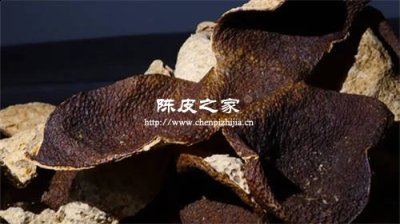 新会陈皮是橘皮还是柑皮