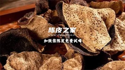 陈皮是否可以和桑树叶一起泡水喝